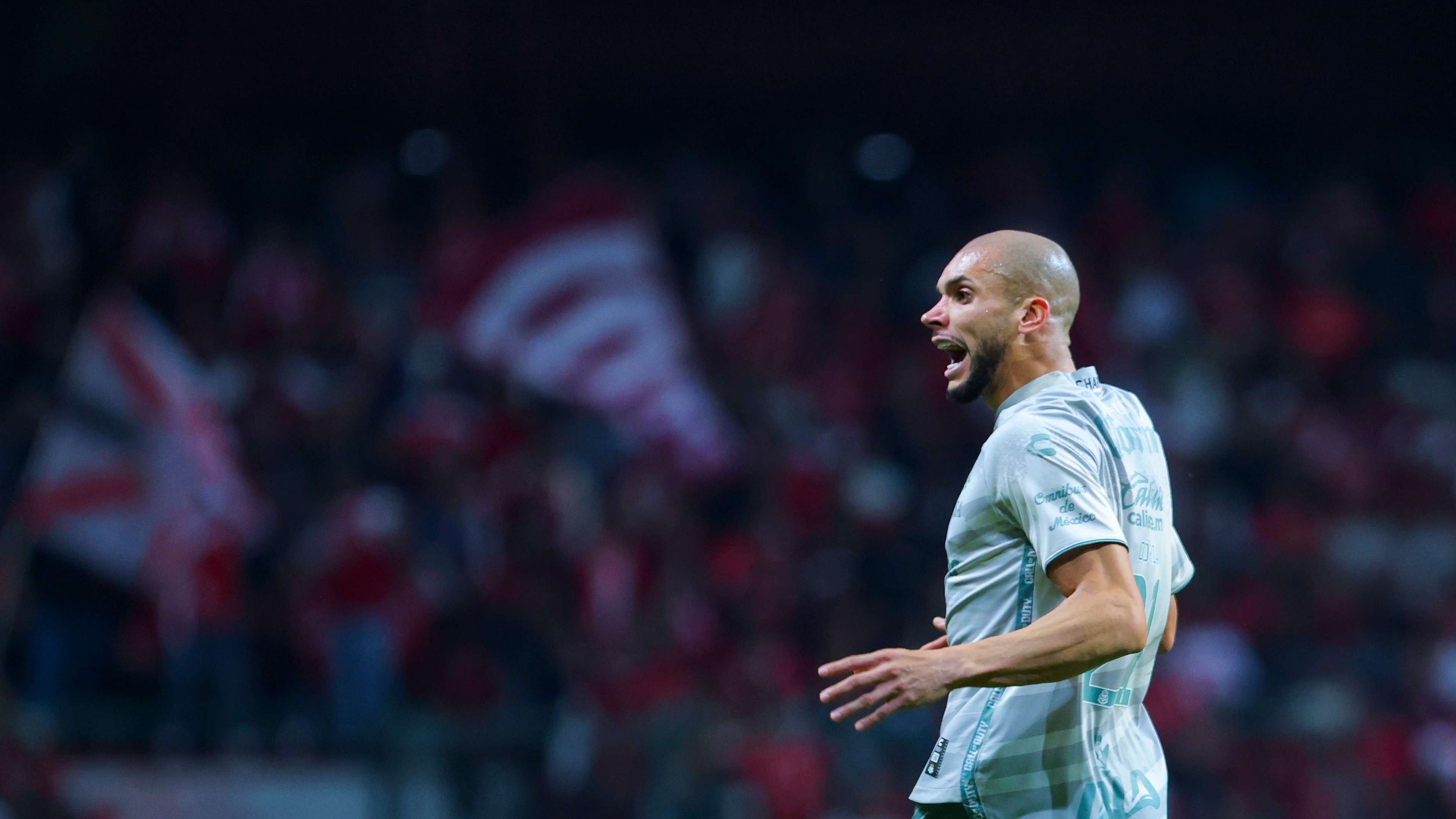 的不俗魅力 的不俗魅力